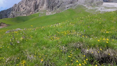 Alta Via Federico Augusto path - Val di Fassa - Italy Stock Footage 287998411