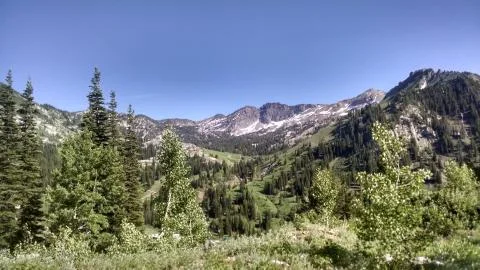 Alta Mountain Summer Foto stock