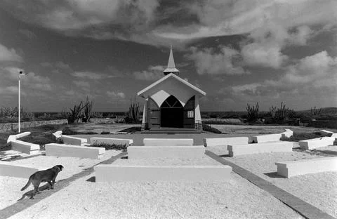 Alta Vista Chapel, Aruba (with dog) Stock Photos