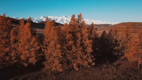Altai, Autumn.  Stock Footage 91281472