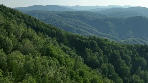Altai flight over the mountains with a dense green forest 12 Stock Footage 255217241