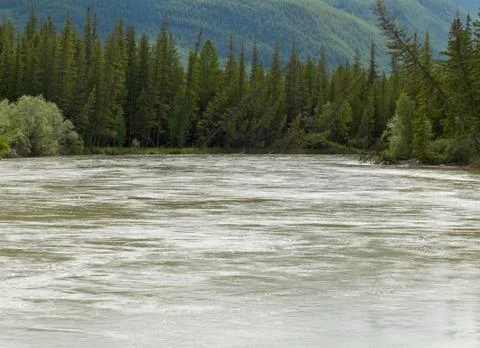Altai: katun river Stock Photos