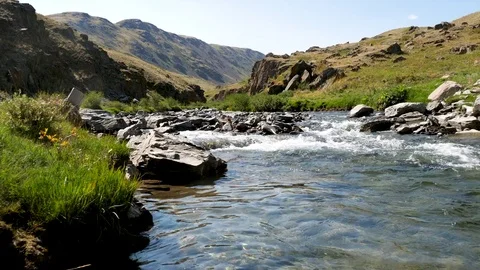 Altai mountain clean river Stock Footage 82894043