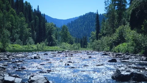 Altai mountain river. Water flows over stones Stock Footage 105946994