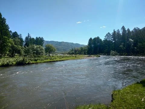 Altai mountain stream Stock Photos