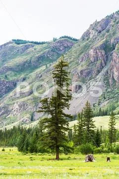 Altai mountains. Altai Republic, South Siberia, Russia Stock Photos