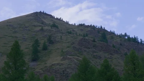 Altai mountains and trees Stock Footage 171731455