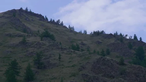 Altai mountains and trees Stock Footage 171731729