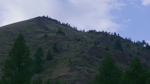 Altai mountains and trees Stock Footage 171733217