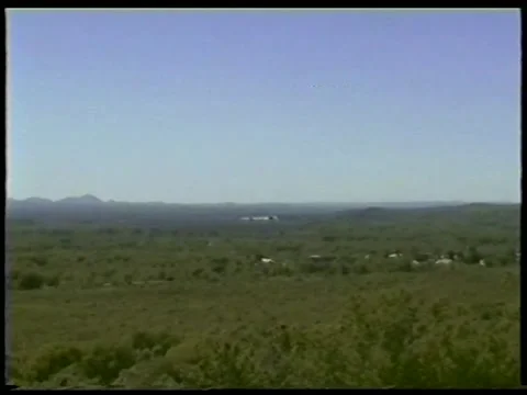 Altai On The Palm Stock Footage 336523464