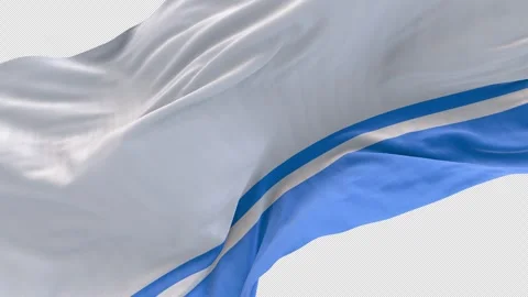 The Altai Republic flag is waving. Stock-Footage 303208981