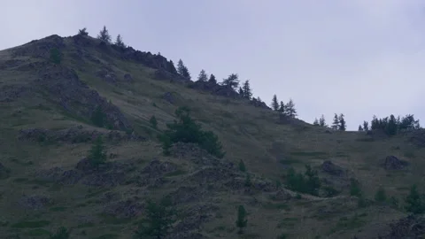 Altai trees and mountains Stock Footage 171733089