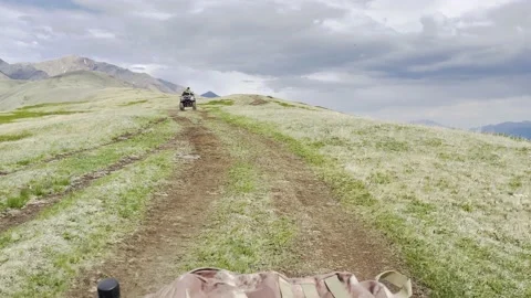 Алтай Stockbeeldmateriaal 225707033