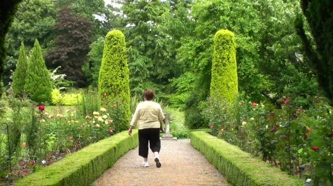 Altamont Gardens  Stock Footage 134711