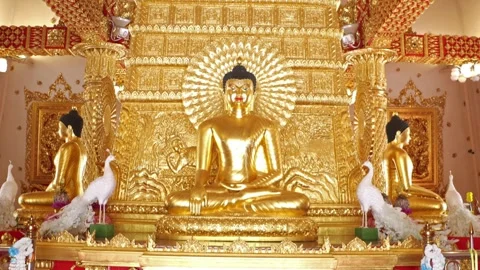 The altar and ceiling of the Buddhist temple Wat Phra That Nong Bua Stock Footage 303343699