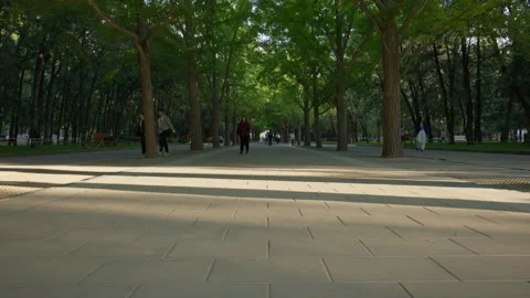 The Altar of Earth Ancient Imperial Architecture at Ditan Park Stock Footage 335194255