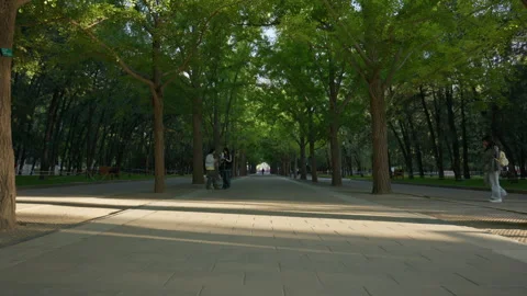 The Altar of Earth Ancient Imperial Architecture at Ditan Park Video stock 335194560