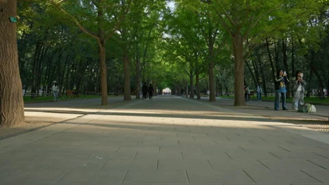 The Altar of Earth Ancient Imperial Architecture at Ditan Park Видео 335194562