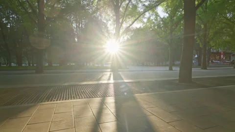 The Altar of Earth Ancient Imperial Architecture at Ditan Park Видео 335194871
