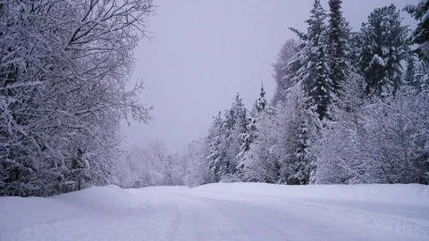 Altay dense snowfall road through the forest Stock Footage 88445053