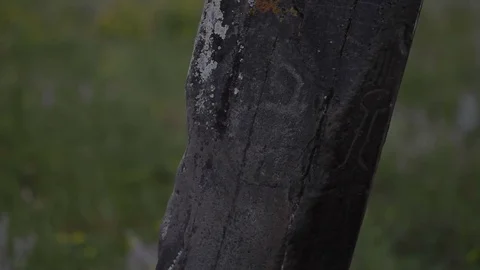 Altay Historical Artifact Stock Footage 82283139