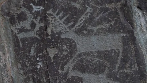 Altay Historical Artifact Stock Footage 82283733