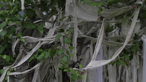 Altay Landscape Stock Footage 82281730