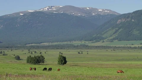 Altay Mountain Landscape Stock Footage 81434270