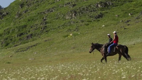 Altay Mountain Landscape Stock Footage 81455595