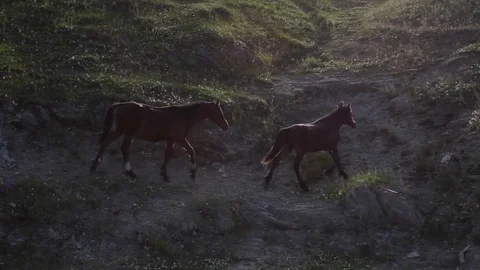 Altay Mountain Landscape Stock Footage 81456089
