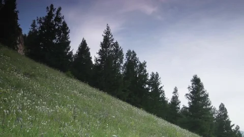 Altay Mountain Landscape Stock Footage 82213340