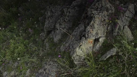 Altay Mountain Landscape Stock Footage 82215827