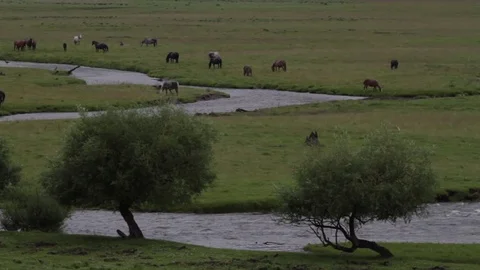 Altay Mountain Landscape 스톡 동영상 82279161