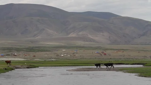 Altay Mountain Landscape Stock Footage 82533046