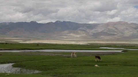Altay Mountain Landscape Stock Footage 82543707