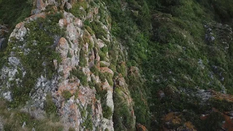 Altay mountains and river Vidéo 109480776