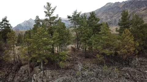 Altay mountains and river Vidéo 109480805