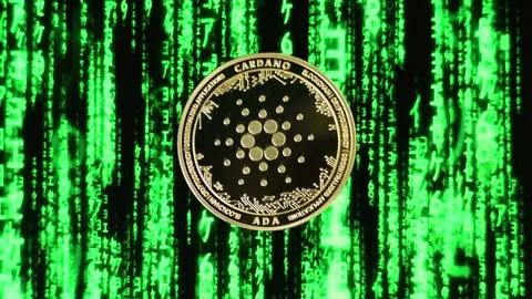 Altcoin Cardano ADA on  Moving Binary Code green digital matrix Stock Footage 194504999