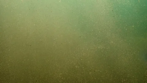 Altering light of sunbeams in muddy water Stock Footage 85202815