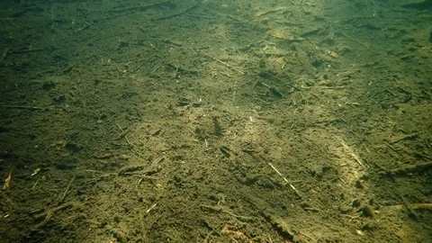 Altering sunlight on muddy lake bottom. Stock Footage 85203034
