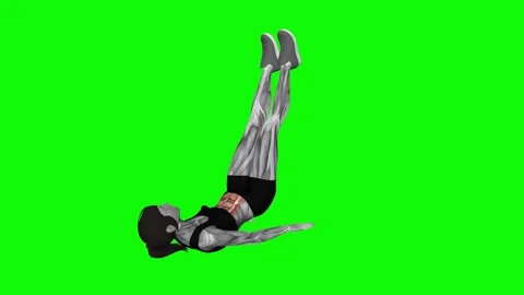 Alternate Lying Floor Leg Raise female fitness gym exercise workout animation mu Vidéo 247707680