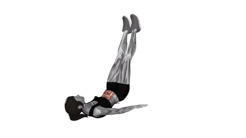 Alternate Lying Floor Leg Raise female 1 fitness gym exercise workout animation  Video stock 247708231
