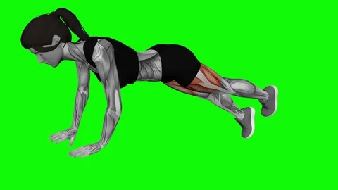 Alternate Single Leg Raise Plank female fitness gym exercise workout animation m 動画素材 247707682