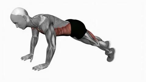 Alternate single leg raises plank fitness exercise workout animation video male  Video stock 229458178