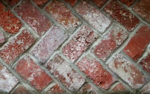 Alternating bricks Fotos Stock