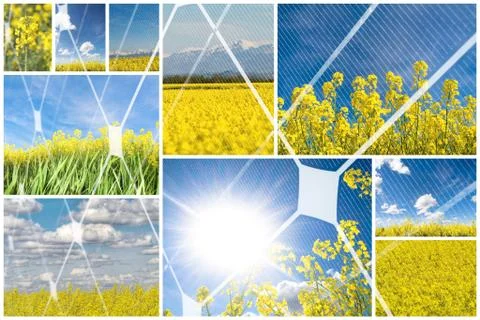 Alternative energy concept 写真素材