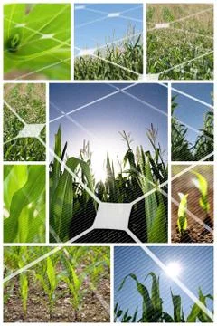 Alternative energy concept Foto stock