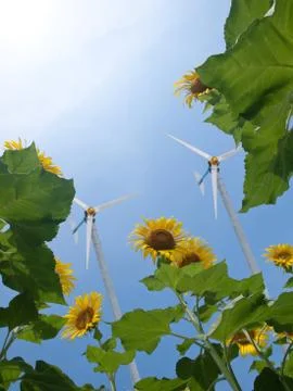 Alternative energy Stock Photos