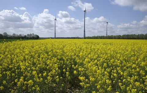 Alternative energy Stock Photos