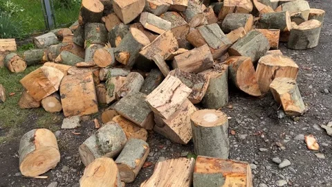 Alternative energy source based on wood Stock Footage 334527146
